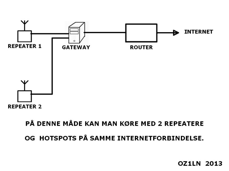 D-Star NET1